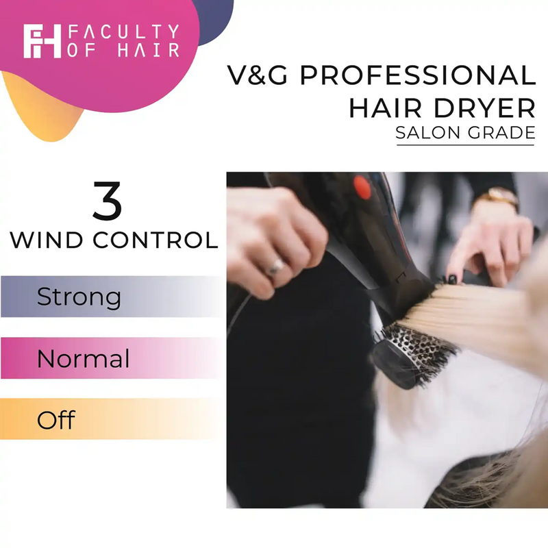 V&G Professional Hair Dryer #3200