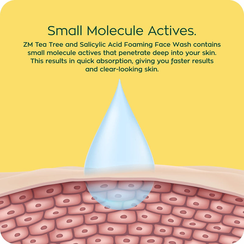 Zayn & Myza Tea Tree & Salicylic Acid Foaming Face Wash for Women 100ml BD